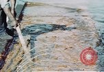 Image of man spreads grease on ways at Newport News Shipyard Newport News Virginia USA, 1943, second 18 stock footage video 65675055340