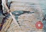 Image of man spreads grease on ways at Newport News Shipyard Newport News Virginia USA, 1943, second 20 stock footage video 65675055340