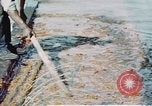 Image of man spreads grease on ways at Newport News Shipyard Newport News Virginia USA, 1943, second 21 stock footage video 65675055340