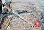 Image of man spreads grease on ways at Newport News Shipyard Newport News Virginia USA, 1943, second 22 stock footage video 65675055340