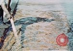 Image of man spreads grease on ways at Newport News Shipyard Newport News Virginia USA, 1943, second 24 stock footage video 65675055340