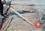 Image of man spreads grease on ways at Newport News Shipyard Newport News Virginia USA, 1943, second 25 stock footage video 65675055340