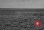 Standbild Grumman TBF Avenger Pazifischer Ozean, 1944, aus Sekunde 4 historischem Filmmaterial Videoclip 65675055345