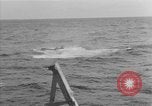 Image of American SB2C Helldiver Pacific Ocean, 1944, second 14 stock footage video 65675055350