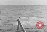Image of American SB2C Helldiver Pacific Ocean, 1944, second 19 stock footage video 65675055350