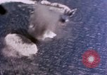Standbild Flugzeuge aus USS Cowpens (CVL-25) Angriff japanischer Kreuzer Naka Pacific Theater, 1944, aus Sekunde 47 historischem Filmmaterial Videoclip 65675055351
