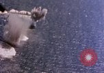Standbild Flugzeuge aus USS Cowpens (CVL-25) Angriff japanischer Kreuzer Naka Pacific Theater, 1944, aus Sekunde 49 historischem Filmmaterial Videoclip 65675055351