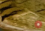 Image of American aircraft Okinawa Ryukyu Islands, 1944, second 4 stock footage video 65675055353