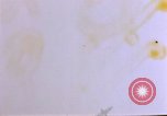 Image of American aircraft Okinawa Ryukyu Islands, 1944, second 37 stock footage video 65675055353
