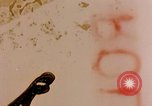 Image of American aircraft Okinawa Ryukyu Islands, 1944, second 41 stock footage video 65675055353
