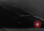Image of Army-Navy Gun Camera installation and operation United States USA, 1942, second 45 stock footage video 65675055363