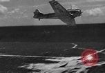Image of Army-Navy Gun Camera Florida United States USA, 1942, second 22 stock footage video 65675055368