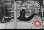 Image of Loading bombs in cockpit of German airplane France, 1917, second 20 stock footage video 65675055374
