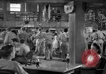 Image of Women Army Corps United States USA, 1945, second 37 stock footage video 65675055381