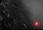Image of Messerschmitt-109 European Theater, 1944, second 25 stock footage video 65675055382