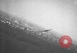 Image of Junker JU 88 European Theater, 1944, second 29 stock footage video 65675055390