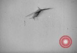 Image of Focke Wulf 190 European Theater, 1944, second 13 stock footage video 65675055408