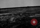 Image of Messerschmitt-109 European Theater, 1944, second 20 stock footage video 65675055412