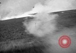 Image of Junker JU 88 European Theater, 1944, second 9 stock footage video 65675055414