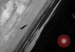Image of German fighter aircraft European Theater, 1944, second 14 stock footage video 65675055427