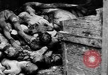Image of German civilian executed for war crimes Rheinbach Germany, 1945, second 19 stock footage video 65675055476