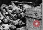 Image of German civilian executed for war crimes Rheinbach Germany, 1945, second 20 stock footage video 65675055476
