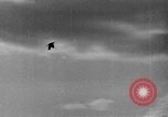 Image of German civilian executed for war crimes Rheinbach Germany, 1945, second 32 stock footage video 65675055476
