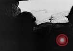 Image of Ion Victor Antonescu Ukraine, 1942, second 62 stock footage video 65675055481