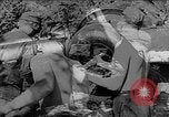 Image of German artillery Europe, 1942, second 5 stock footage video 65675055482