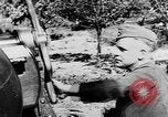 Image of German artillery Europe, 1942, second 6 stock footage video 65675055482