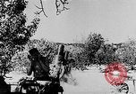 Image of German artillery Europe, 1942, second 8 stock footage video 65675055482