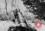 Image of German artillery Europe, 1942, second 9 stock footage video 65675055482