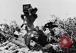 Image of German artillery Europe, 1942, second 15 stock footage video 65675055482