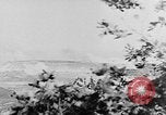 Image of German artillery Europe, 1942, second 30 stock footage video 65675055482
