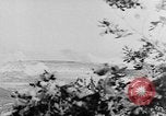 Image of German artillery Europe, 1942, second 31 stock footage video 65675055482