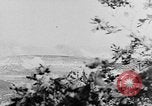 Image of German artillery Europe, 1942, second 32 stock footage video 65675055482