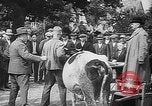 Image of Livestock auction Germany, 1938, second 11 stock footage video 65675055484