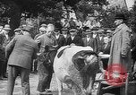 Image of Livestock auction Germany, 1938, second 12 stock footage video 65675055484