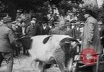 Image of Livestock auction Germany, 1938, second 13 stock footage video 65675055484