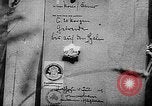 Image of Livestock auction Germany, 1938, second 17 stock footage video 65675055484