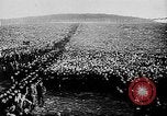 Image of Livestock auction Germany, 1938, second 18 stock footage video 65675055484