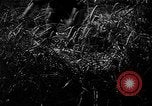 Image of Livestock auction Germany, 1938, second 28 stock footage video 65675055484