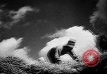 Image of Livestock auction Germany, 1938, second 35 stock footage video 65675055484