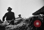 Image of Livestock auction Germany, 1938, second 37 stock footage video 65675055484
