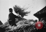 Image of Livestock auction Germany, 1938, second 38 stock footage video 65675055484