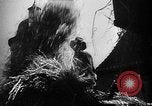 Image of Livestock auction Germany, 1938, second 39 stock footage video 65675055484
