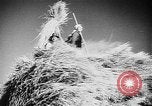 Image of Livestock auction Germany, 1938, second 44 stock footage video 65675055484