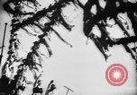 Image of Livestock auction Germany, 1938, second 51 stock footage video 65675055484