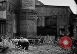 Image Les usines au ralenti et les chômeurs des Sudètes Allemagne, 1938, de la seconde 48 séquences d'archives historiques vidéo 65675055490