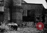 Image Les usines au ralenti et les chômeurs des Sudètes Allemagne, 1938, de la seconde 49 séquences d'archives historiques vidéo 65675055490